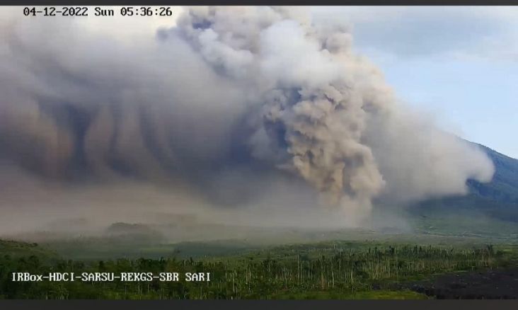 Erupsi Gunung Semeru, BNPB: Lansia Sudah Dievakuasi