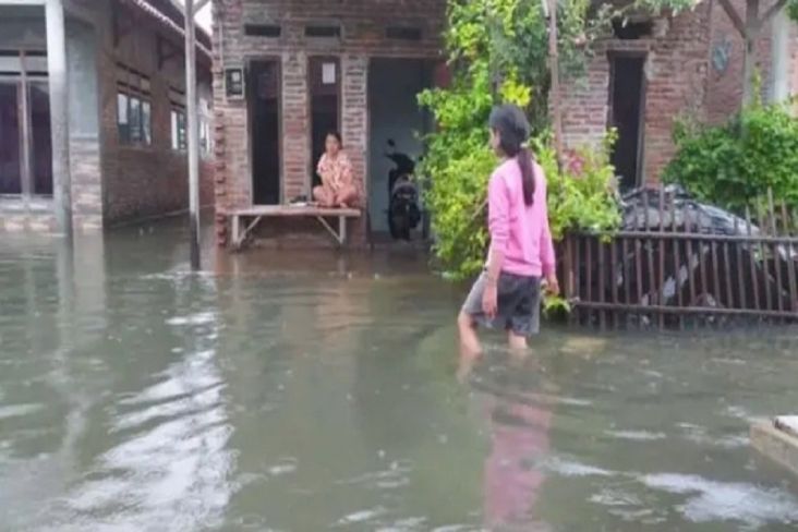 Diterjang Banjir Rob, 8 Desa di Pemalang Terendam