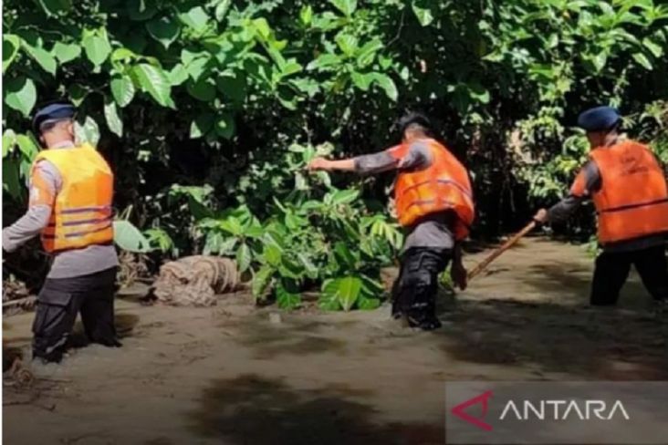 Brimob Polda Sulsel Terjunkan Tim SAR Cari Bocah 7 Tahun Tenggelam di Sungai Lajua