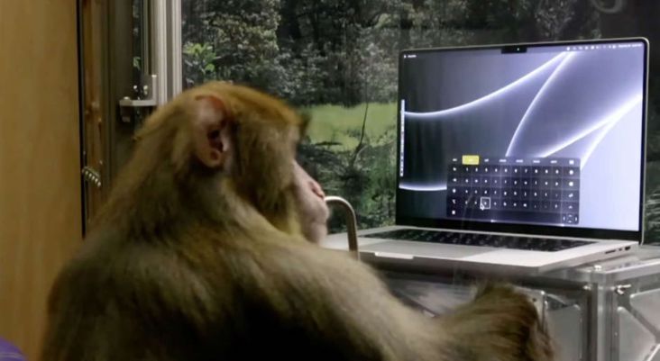Chip Otak Neuralink Bikin Monyet Bisa Mengetik dengan Pikiran