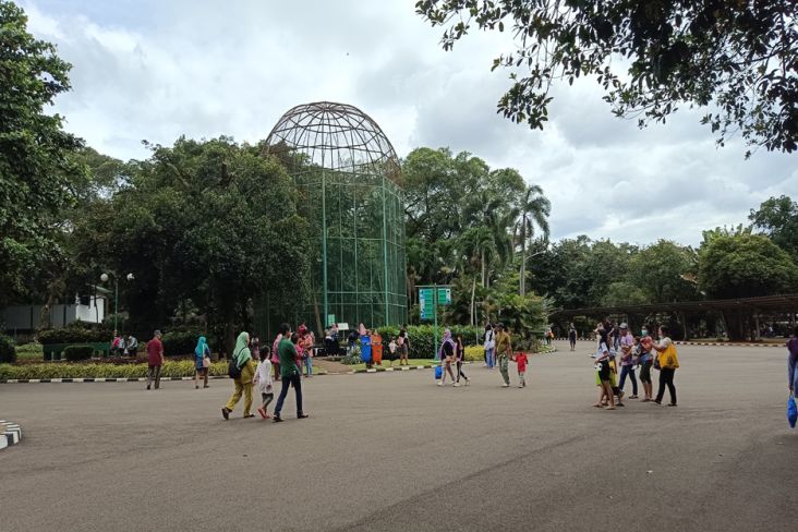 Cuti Bersama Imlek, Taman Margasatwa Ragunan Dipadati 18.300 Pengunjung
