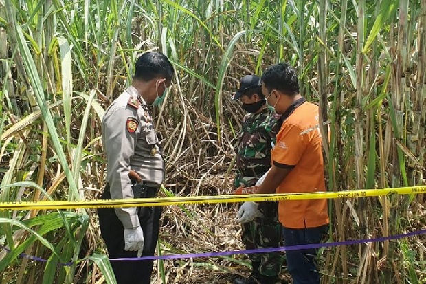 Geger! Mayat Wanita 30 Tahun Ditemukan Tinggal Kerangka di Cilincing