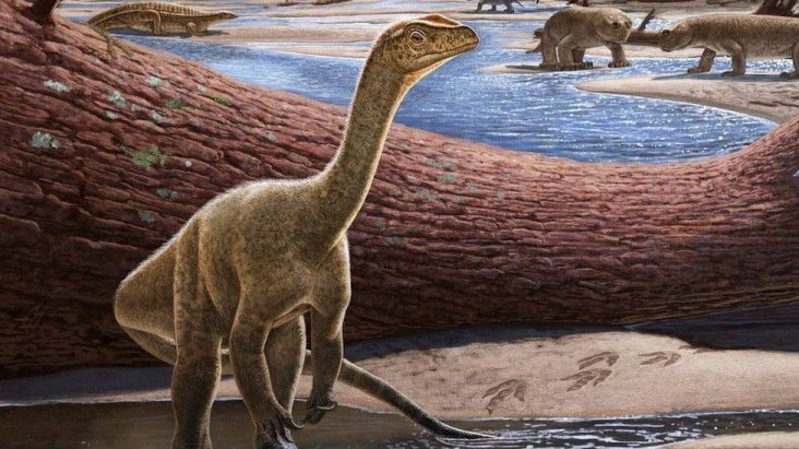 Mengapa di Indonesia Tidak ditemukan Fosil Dinosaurus? Ini Jawabannya