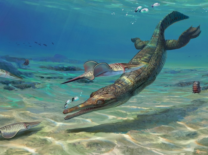 Punya Muka Imut, Fosil Buaya Laut Purba Ditemukan di Pantai Jurassic Inggris