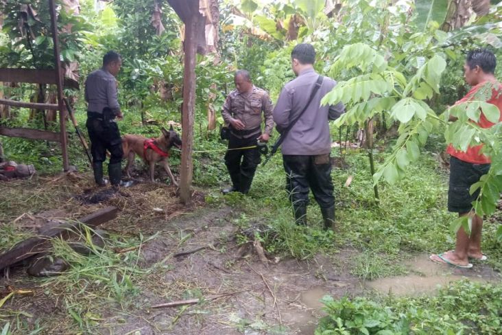 Dramatis! 40 Hari Polisi Berjibaku di Hutan Belantara Malang Selatan Buru Pembunuh Mama Muda