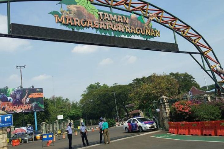 DKI Kucurkan Dana Rp130 Miliar untuk Percantik Taman Margasatwa Ragunan