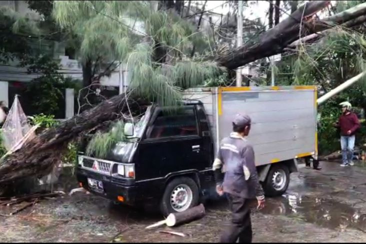Hujan Badai Terjang Jakarta, 3 Driver Ojol dan 1 Warga Tertimpa Pohon Tumbang
