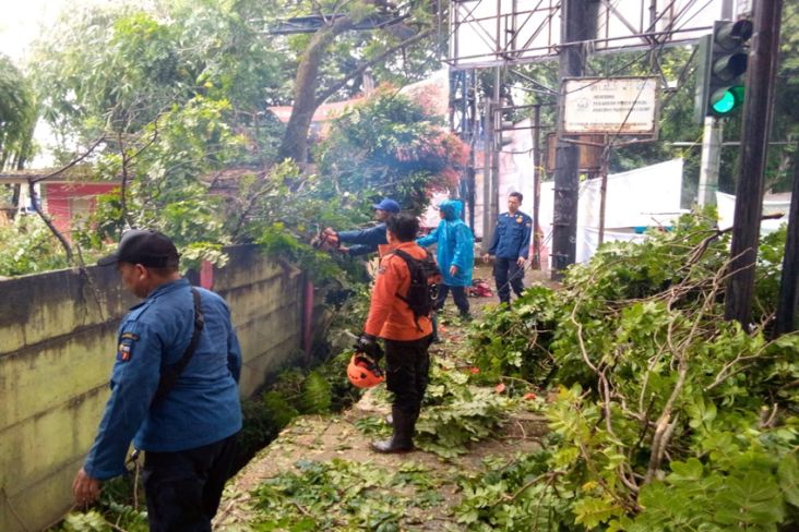 25 Lokasi di Bogor Diterjang Angin Kencang, Banyak Pohon Tumbang dan Rumah Rusak