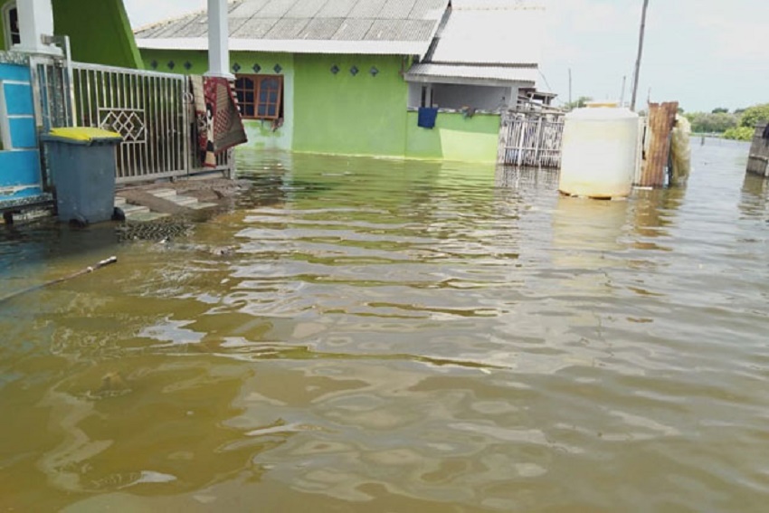 367 Rumah Warga di 2 Kecamatan di Bekasi Terendam Banjir Rob
