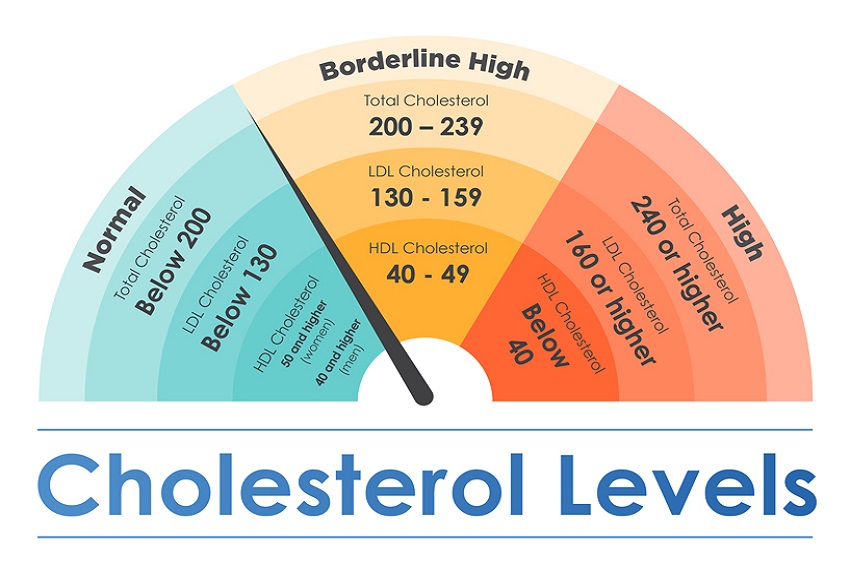 Are products of high. Cholesterol Level. Cholesterol normal Level. HDL холестерин что это. Total cholesterol Level.