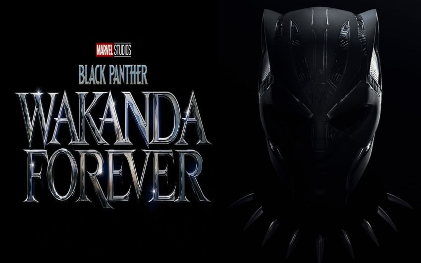 4 Kandidat Utama Black Panther Baru di Wakanda Forever