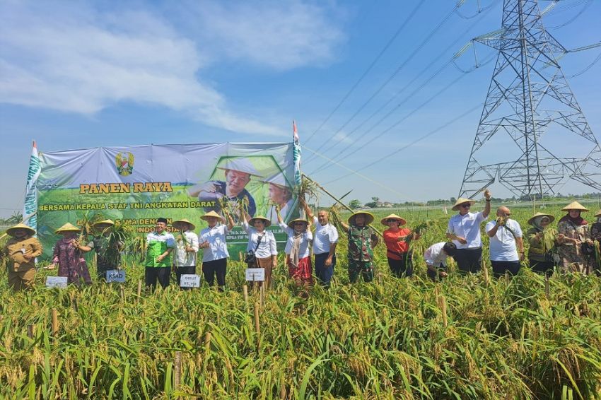 Bangun Ketahanan Pangan, PT PSI Gandeng TNI AD dan NU Sejahterakan Petani