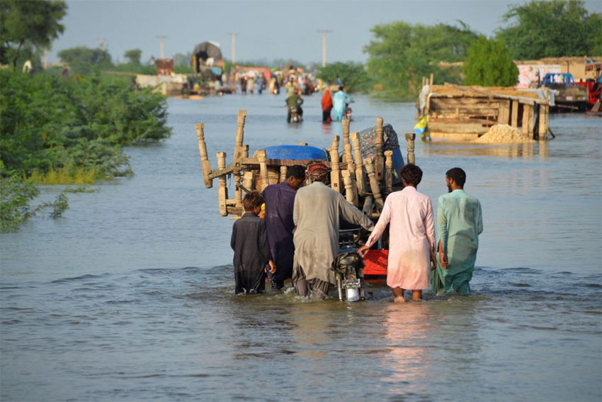 PM Pakistan Memohon Bantuan untuk 20 Juta Korban Banjir di Negaranya