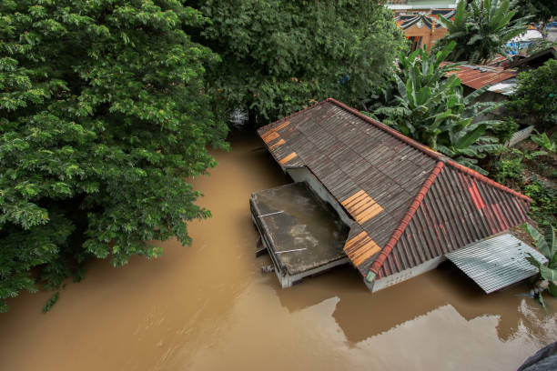 2.674 Hektare Lahan Pertanian di Pati Terendam Banjir, Petani Rugi Puluhan Miliar