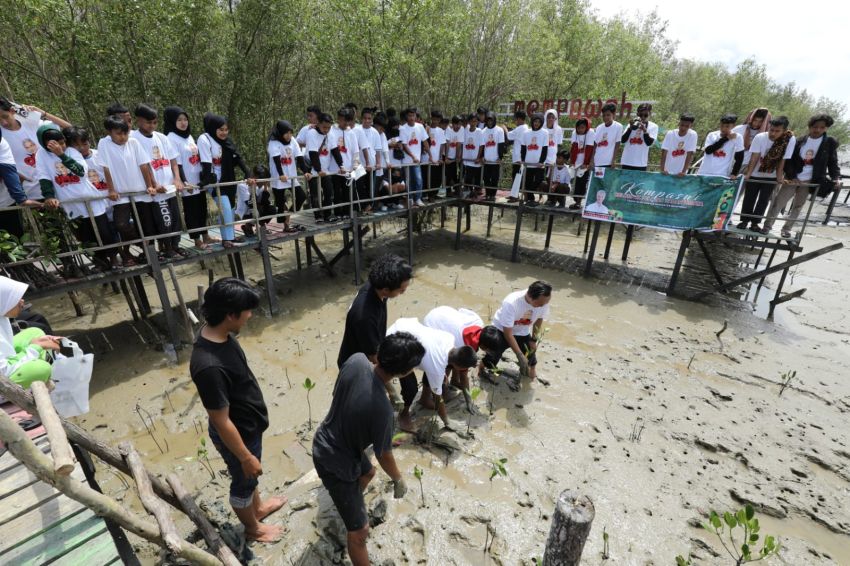 Komitmen Jaga Ekosistem Pantai, Orang Muda Ganjar Kalbar Tanam 500 Bibit Mangrove di Mempawah