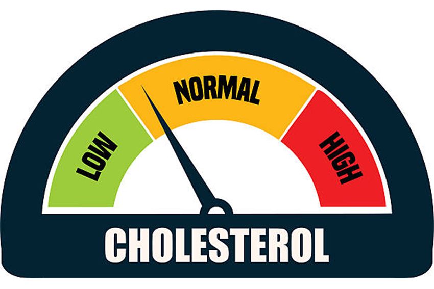 5 Cara Mencegah Kolesterol sejak Dini agar Tidak Tinggi, Anak Muda Wajib Tahu