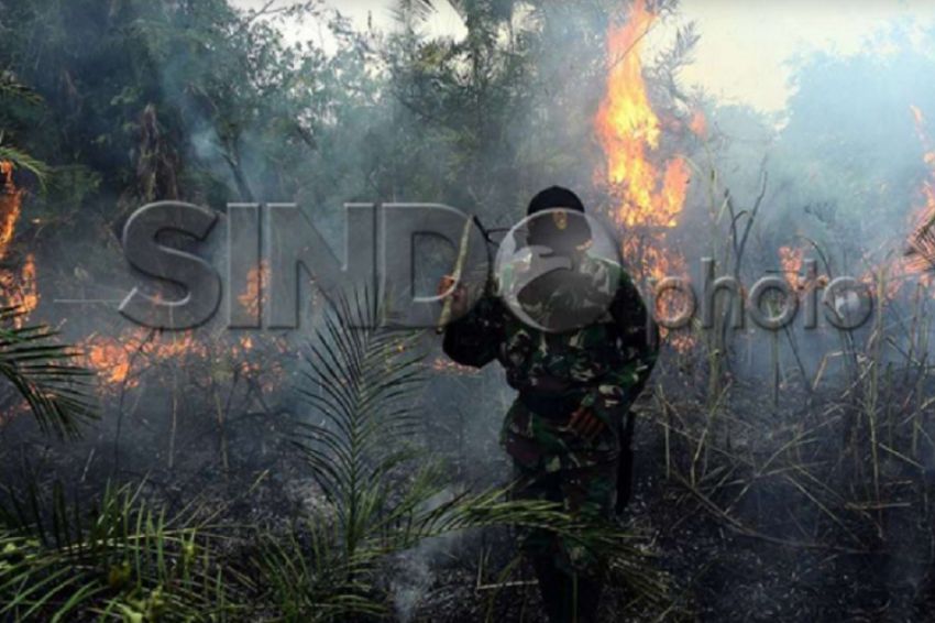 Musim Kemarau Tahun Ini Lebih Kering, BMKG: Waspada Kebakaran Hutan dan Lahan