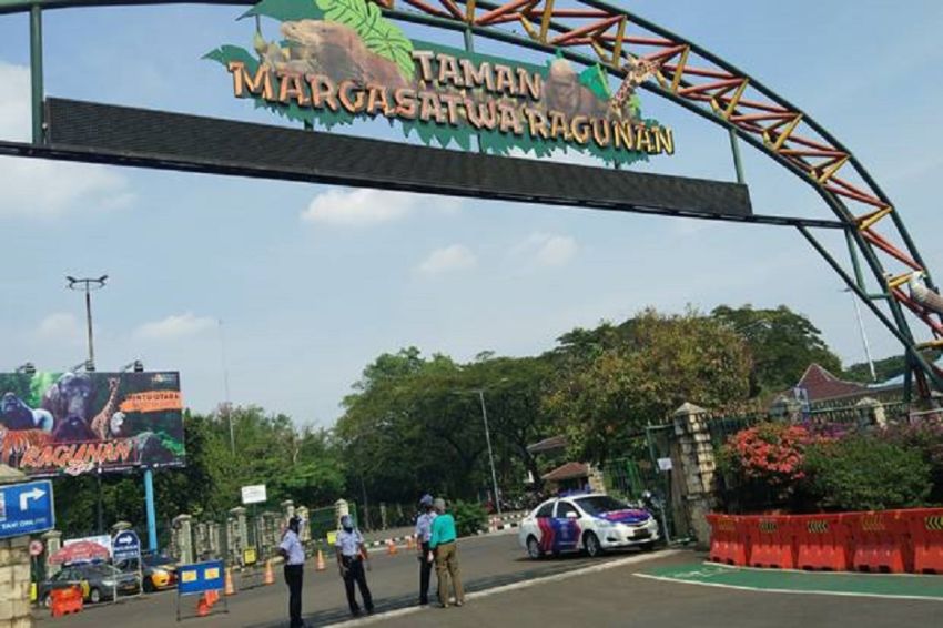 DKI Kuncurkan Dana Rp130 Miliar untuk Percantik Taman Margasatwa Ragunan