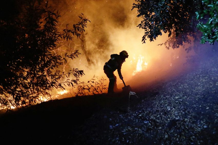 Kebakaran Hutan Kepung Chili, 22 Tewas