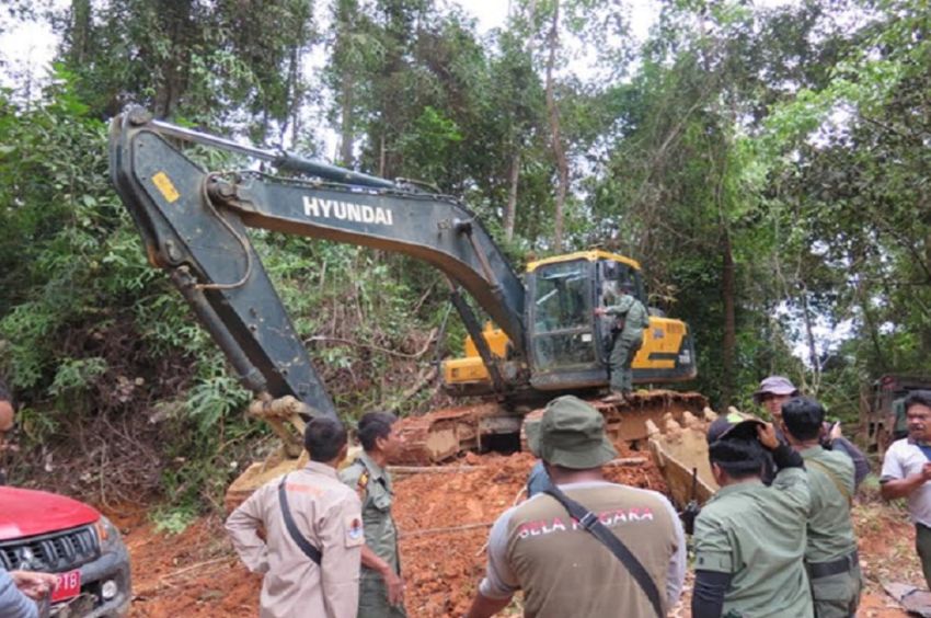 Gakkum KLHK Tangkap Pemodal Tambang Ilegal di Taman Nasional Batang Gadis