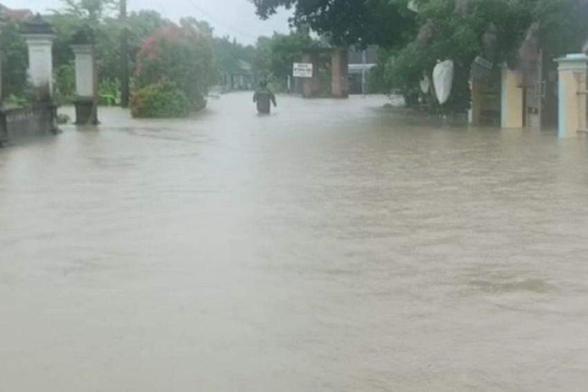 Banjir Rendam Pemukiman di Sragen, Warga Beserta Hewan Ternak Dievakuasi