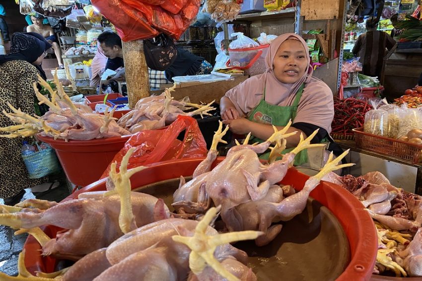 Siap-siap Bunda, Harga Daging Ayam Jelang Ramadan Bakal Terbang