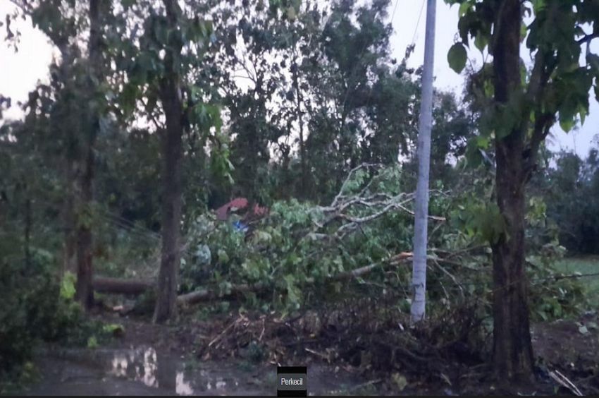 Lampung Utara Diterjang Hujan Angin, Pohon dan Tiang Listrik Roboh