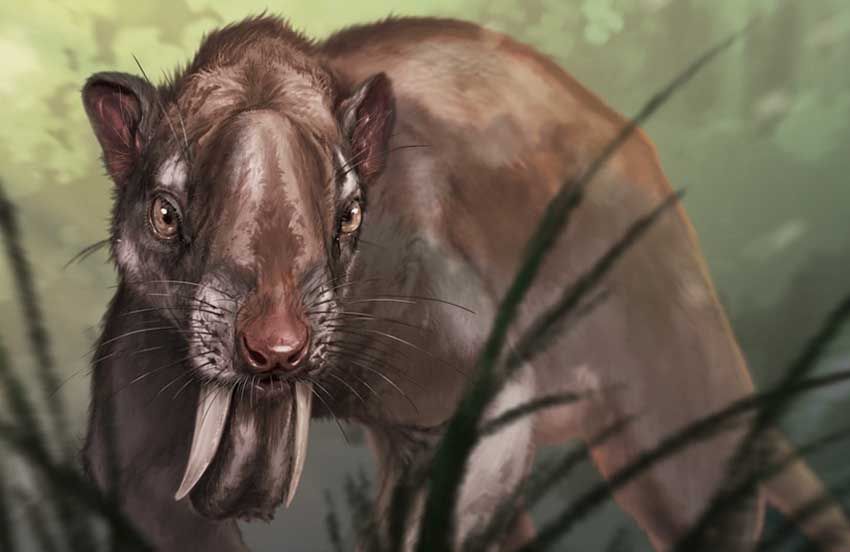 Marsupial Kuno Ini Punya Gigi Taring Belati dan Bentuk Mata Aneh