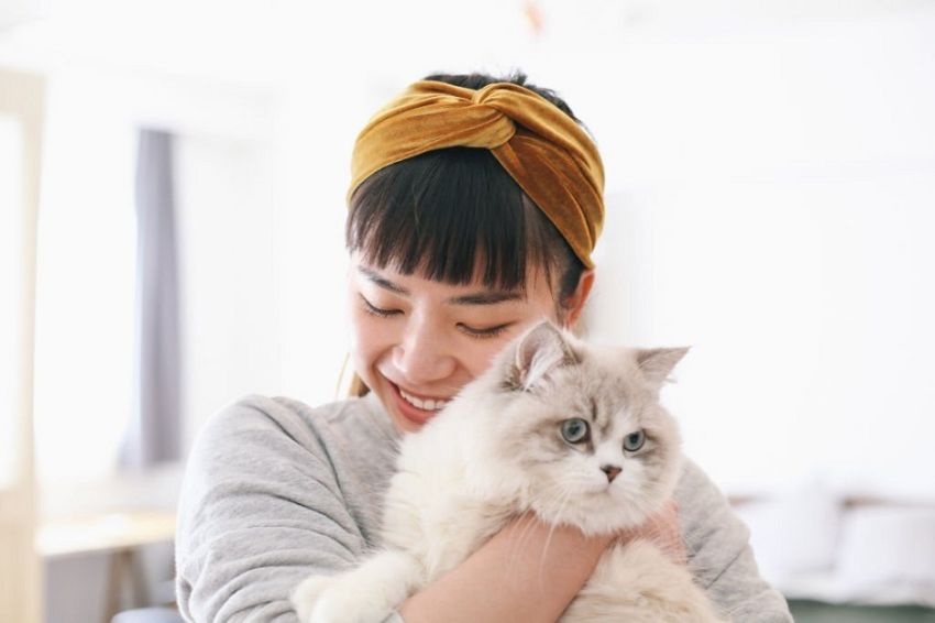 3 Mitos Dekat-dekat Kucing Bagi Wanita, Salah Satunya Bikin Susah Hamil