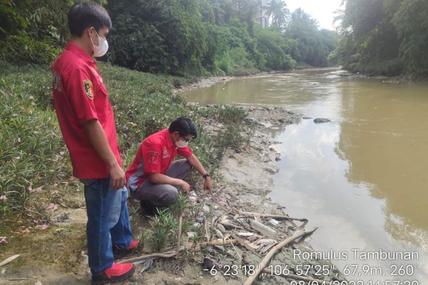 Diduga Tercemar Limbah, Polisi Selidiki Ratusan Ikan Mati di Aliran Sungai Cileungsi