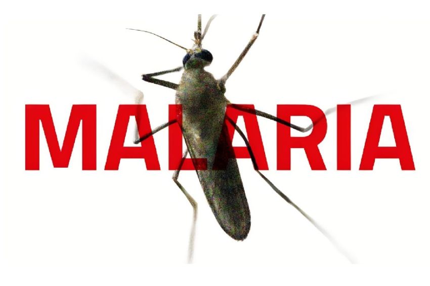 Ini Cara Mencegah dan Mengendalikan Penyebaran Malaria dari Guru Besar Esa Unggul