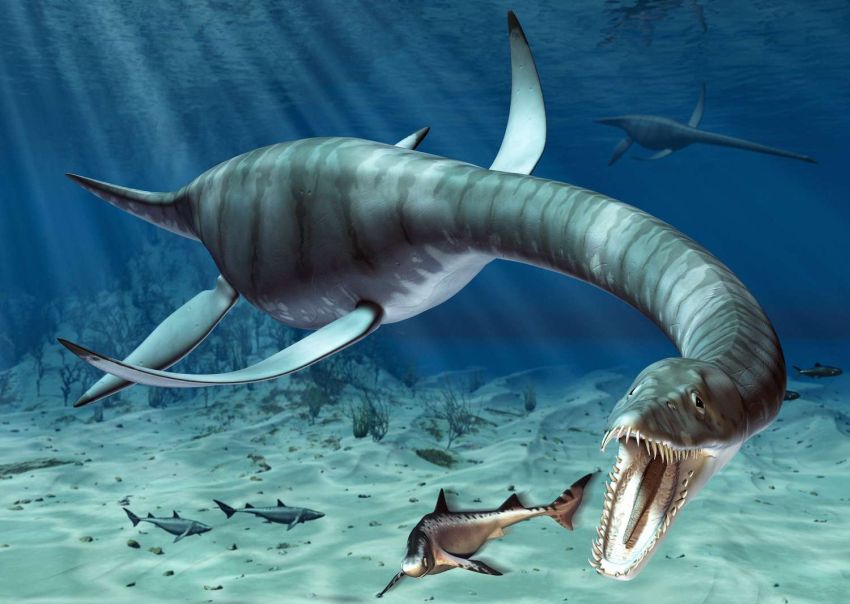 Ilmuwan Beberkan Santapan Utama Monster Laut Plesiosaurus