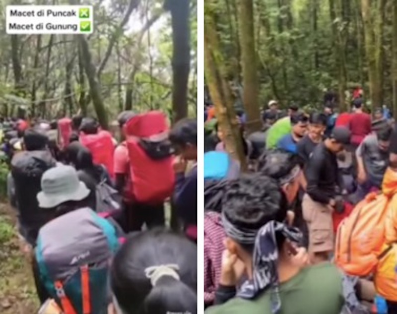 Viral Jalur Pendakian Gunung Gede Via Putri Macet Netizen Jadi Nggak Takut Hantu 