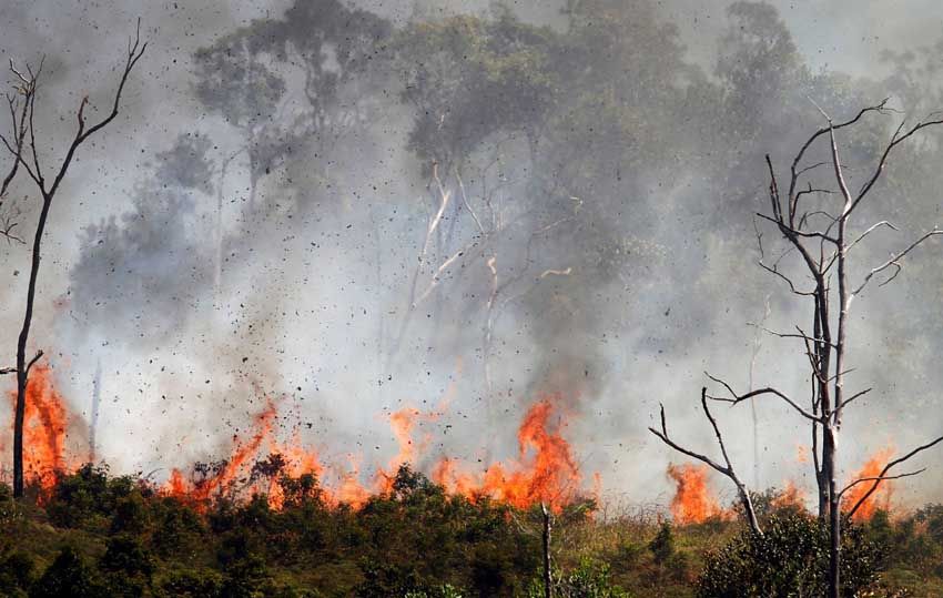 5 Kebakaran Hutan Terparah di Indonesia, Ada Faktor El Nino dan Kemarau