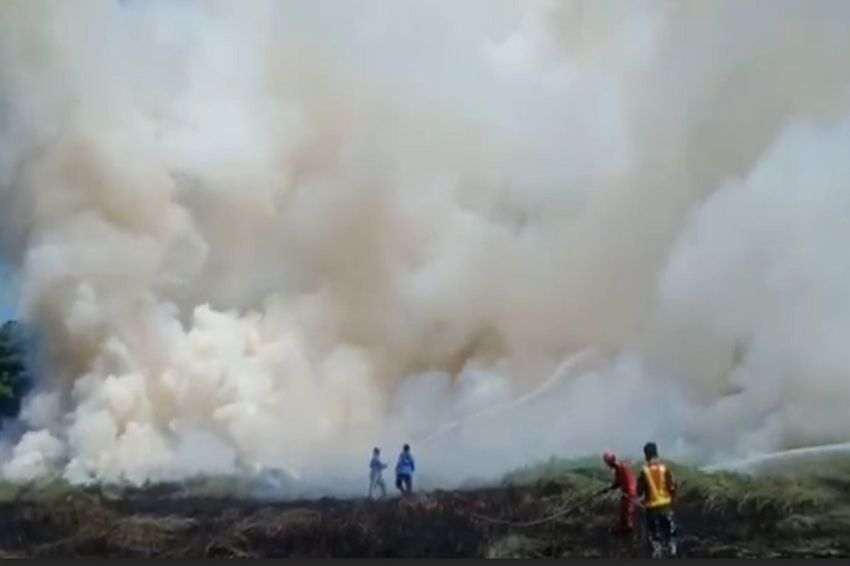 Lahan di Ujung Landasan Pacu Bandara Sultan Hasanuddin Terbakar, Asap Pekat Ganggu Warga