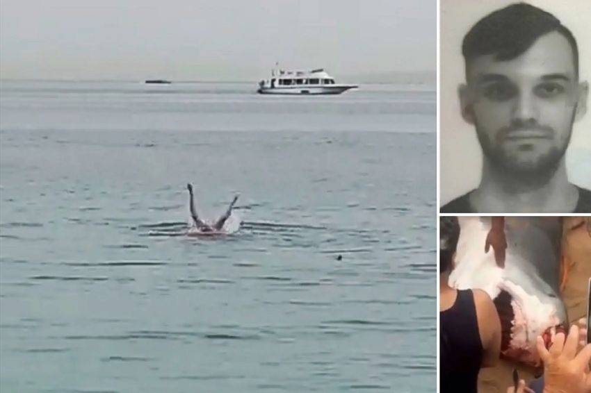 Russian Man Eaten by Shark in Egypt While Swimming, Horrible Video