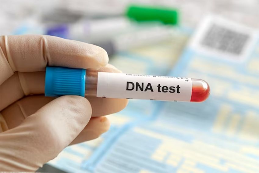 Berapa Biaya yang Dibutuhkan untuk Tes DNA? Ini Gambarannya!