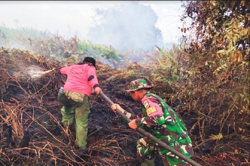 Karhutla di Rokan Hulu Meluas, 100 Hektare Lahan Ludes Terbakar