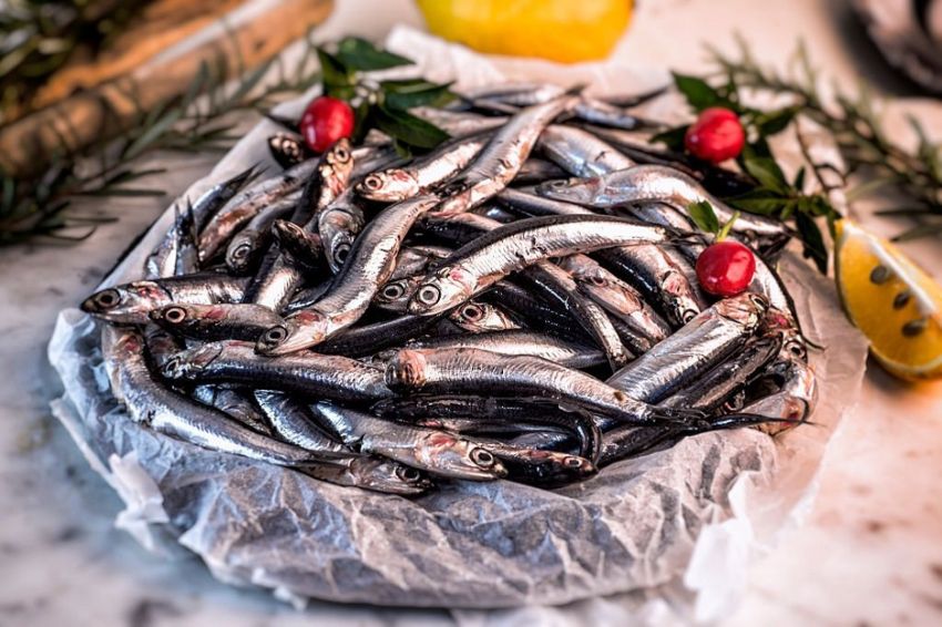 7 Ikan Mengandung Kolesterol Tinggi, Nomor 2 Picu Peradangan Tubuh