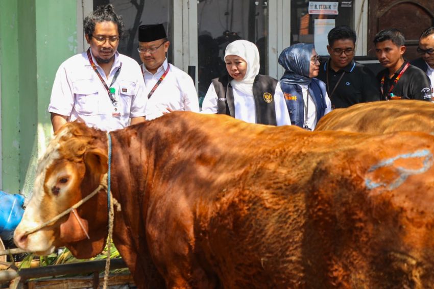 Gubernur Khofifah Imbau Penyembelihan Hewan Kurban Terapkan Prinsip Animal Welfare