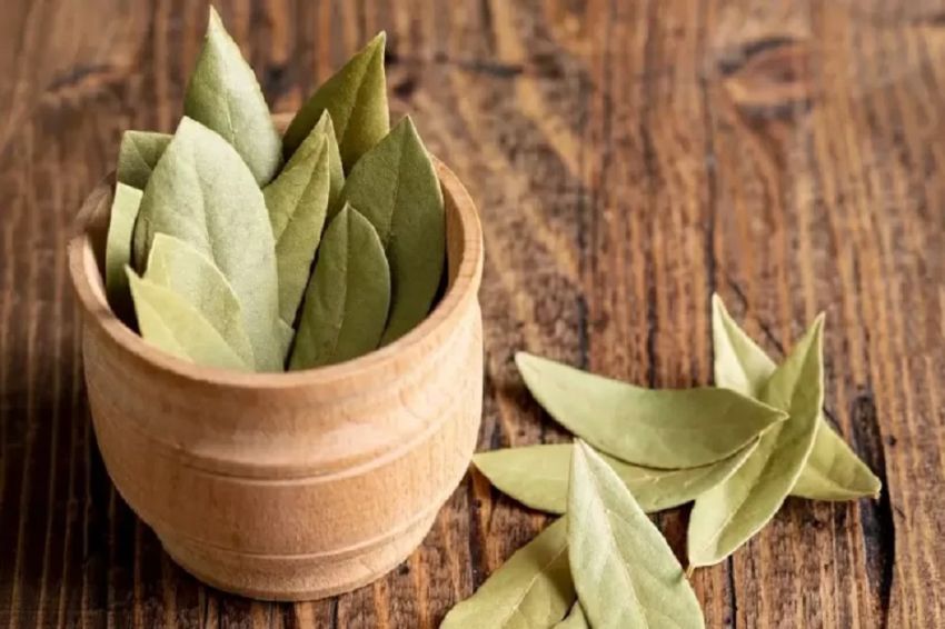 Ways to Lower High Blood Sugar: Benefits of Bay Leaf Decoction and Other Herbal Remedies