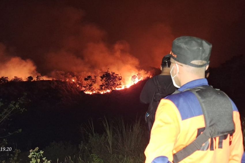 133 Hektare Gunung Ciremai Terbakar, BNPB: Angin Menyulitkan Pemadaman