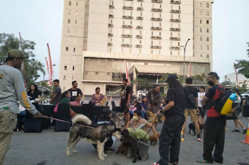 Puluhan Pemilik Anjing Ikuti Next Pet Garden di Halaman Parkir The Next Hotel Yogyakarta