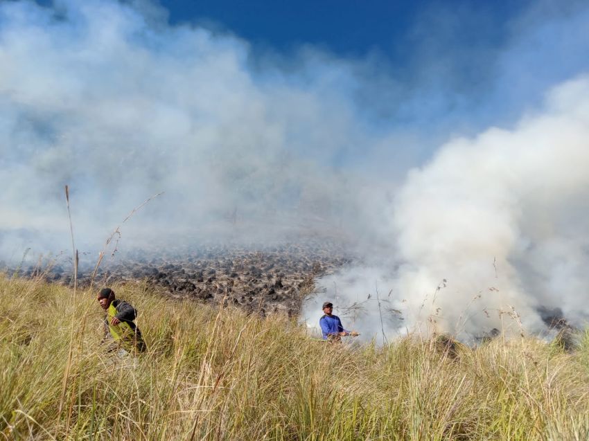 Kebakaran di Gunung Bromo Semakin Meluas, Pintu Masuk via Pasuruan Ditutup
