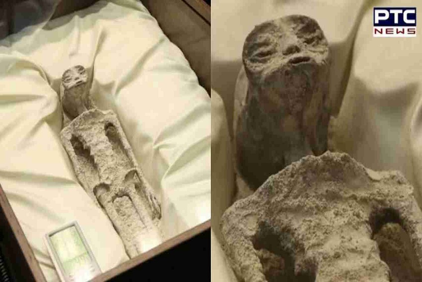 Viral! 2 Mayat Alien Berumur 1.000 Tahun Dipamerkan di Meksiko, Ini Penampakannya