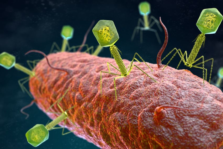 Ilmuwan Siap Gunakan Bakteri untuk Dijadikan Sumber Tenaga Listrik