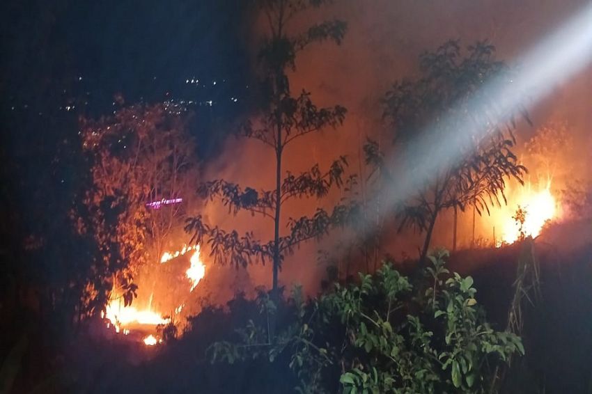 Kobaran Api Membakar Lahan di Puncak Darma Ciletuh Sukabumi, Begini Penampakannya