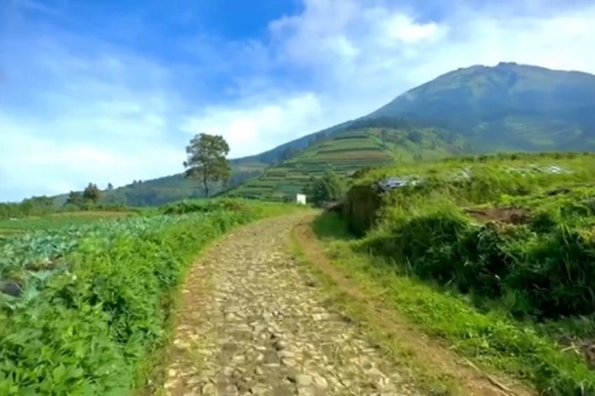 Mengintip Pesona Dusun Prampelan di Magelang, Tak Kalah dengan Nepal Van Java