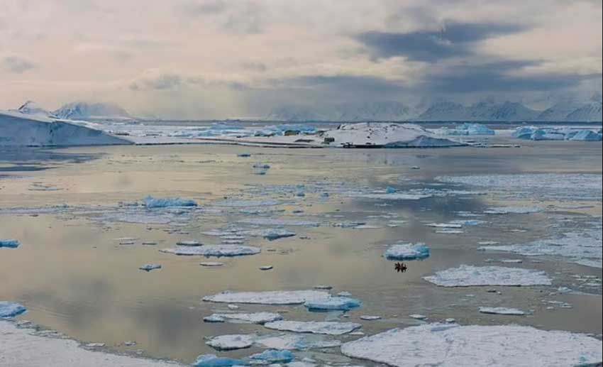 Pencairan Es Antartika Dorong Kenaikan Permukaan Laut Global Setinggi 1 Meter