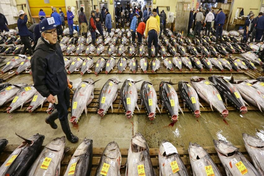 Lawan China, G7 Serukan Pencabutan Segera Larangan Impor Makanan Jepang